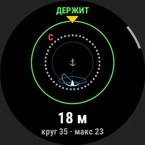 Watch screen: Garmin: anchor watch